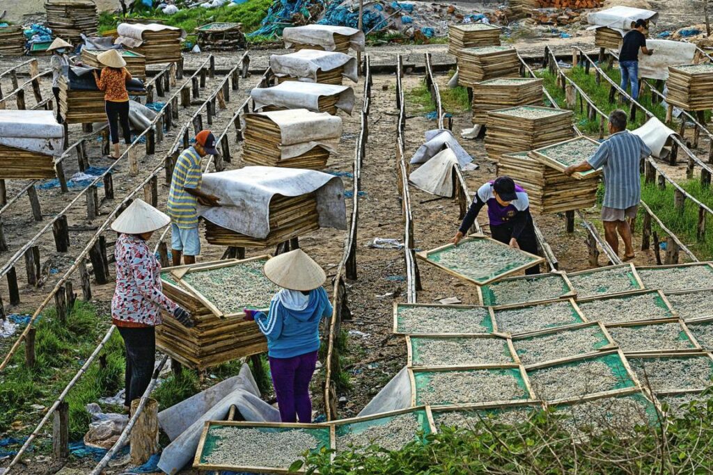 pexels van long bui 1496562 29999414 (fileminimizer)